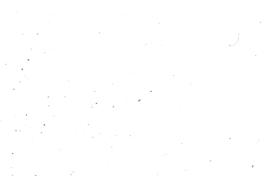 Image 54